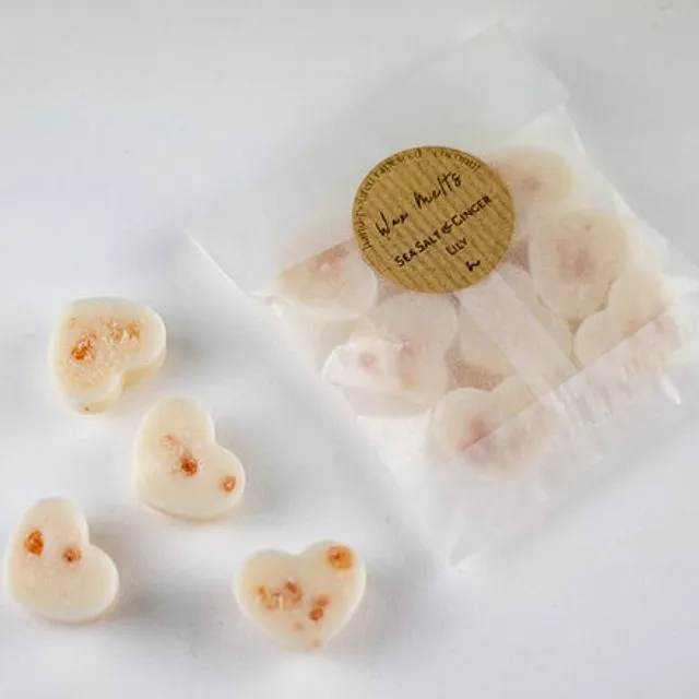 Sea Salt & Ginger Lily hand poured luxury wax melts