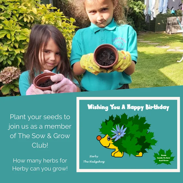 Kids Birthday card with a gift of herb seeds - Herby the Hedgehog