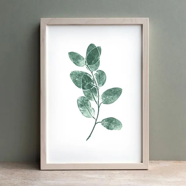 Eucalyptus Sprig Monoprint Green | Botanical Wall Art