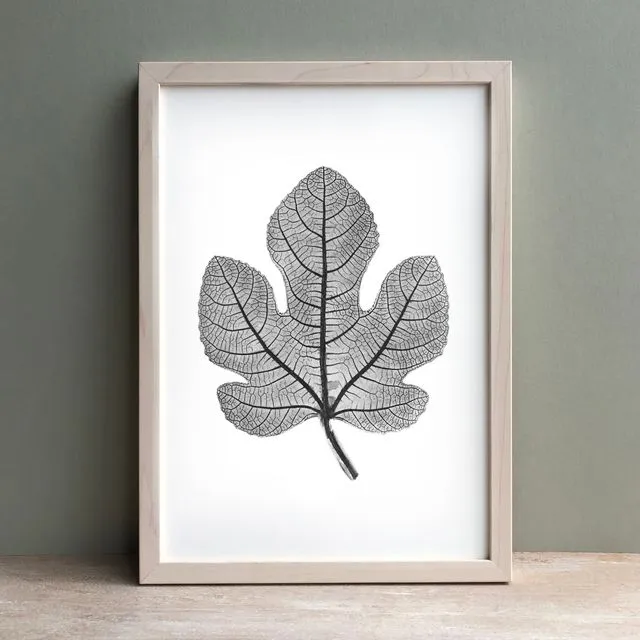 Fig Leaf Monochrome Print | Botanical Wall Art