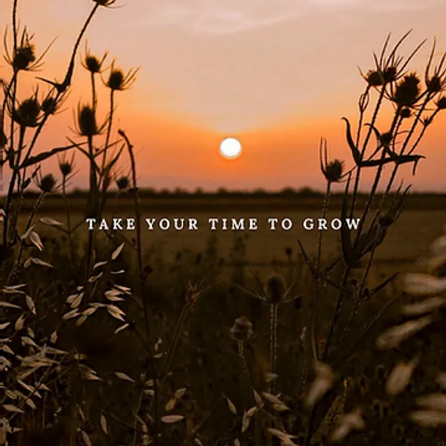 Take Your Time To Grow