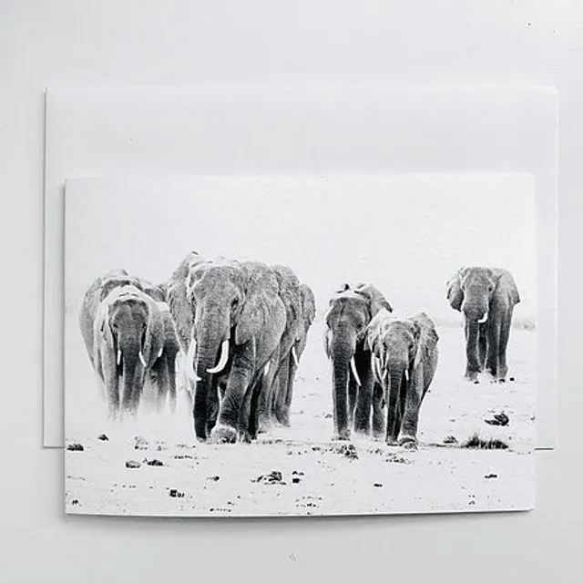 Elephants - Pack of 6