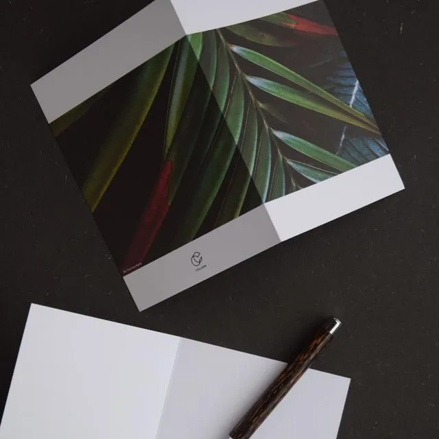 3 Cards - Plantas III (with envelopes)