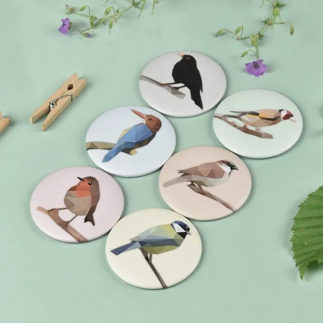 Magnet button Set of 6 Birds