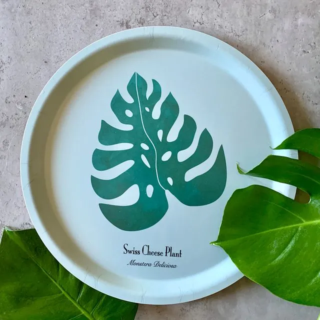 Serving tray Swiss Cheese Plant - Monstera Deliciosa