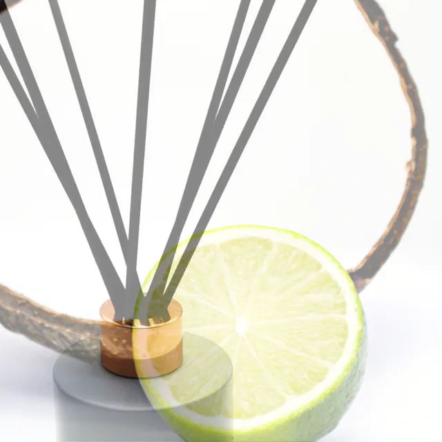 COCONUT & LIME REED DIFFUSER BLEND