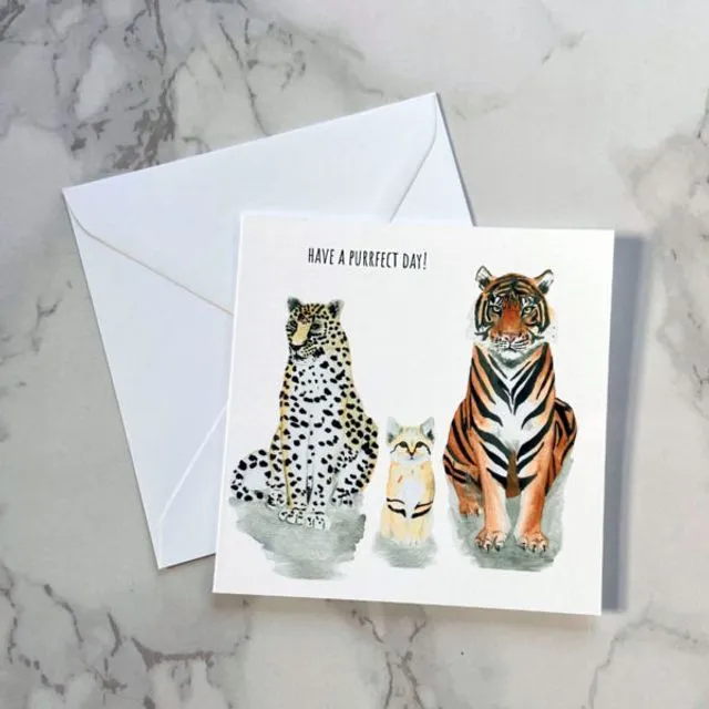 Have A Purrfect Day Card