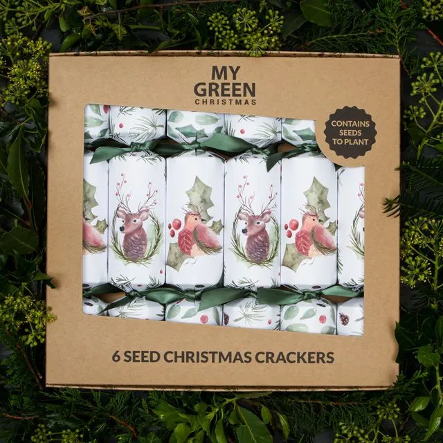6 Seed Christmas Crackers - Case of 10