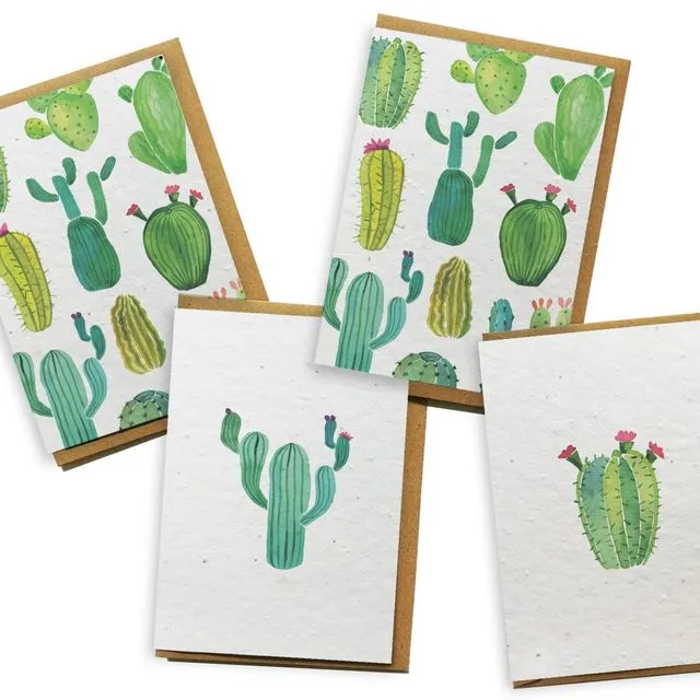 Card 4-Pack - Cactus greeting card bloom seed paper