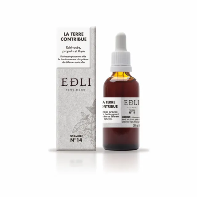 Bundle of 12 EDLI Beauty Products