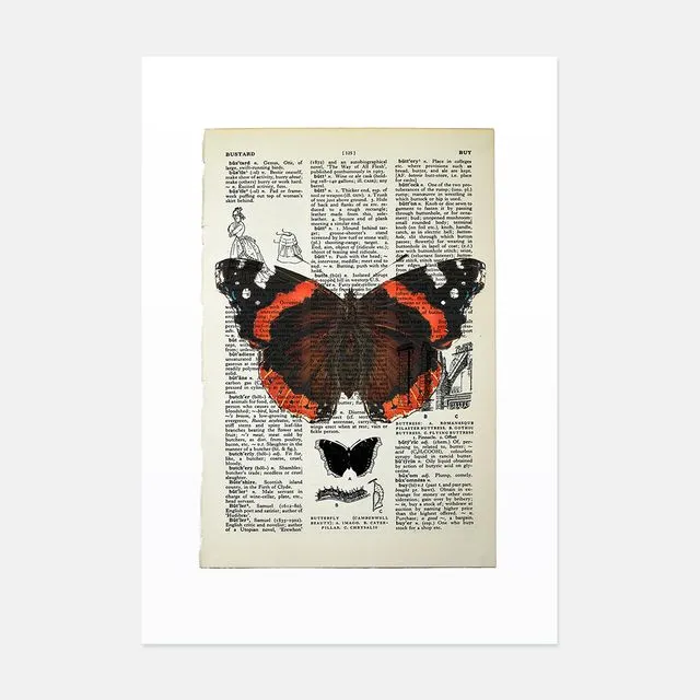 Red Admiral Butterfly vintage book page art print