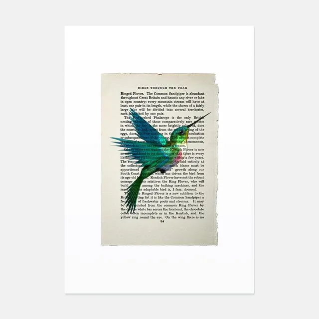 Hummingbird vintage book page art print