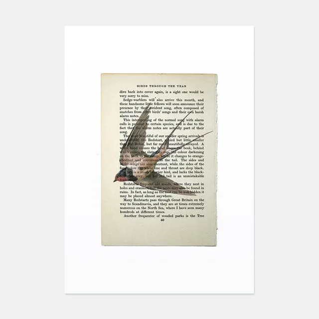 Swallow vintage book page art print