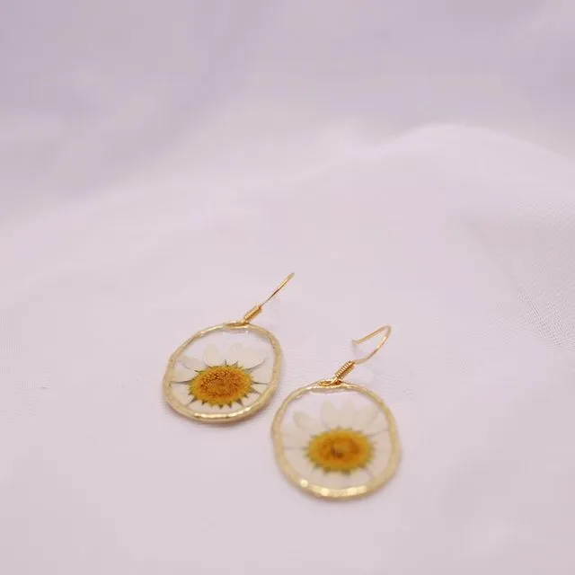 Oval Daisy Earrings - Gold Plated Brass