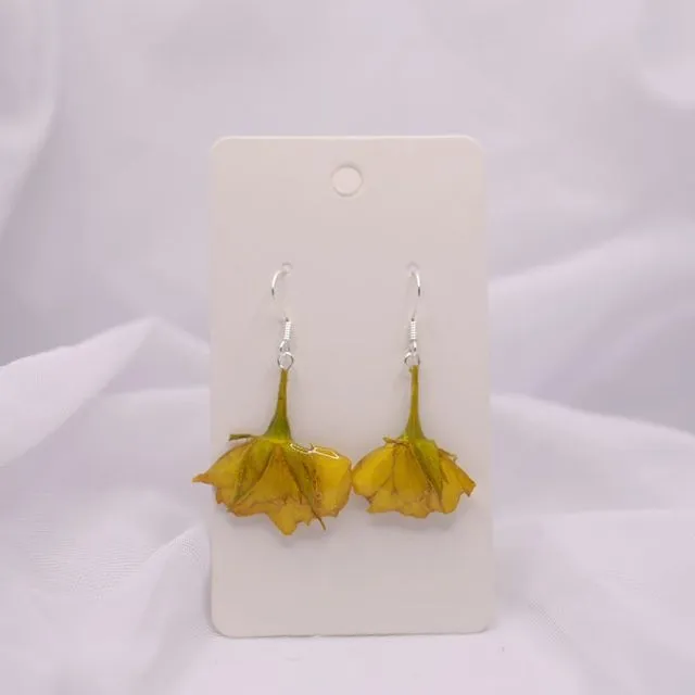 Yellow Rose Earrings - Gold Plated Silver