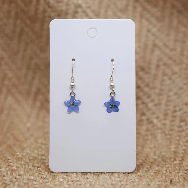 Forget Me Not Earrings - Sterling Silver