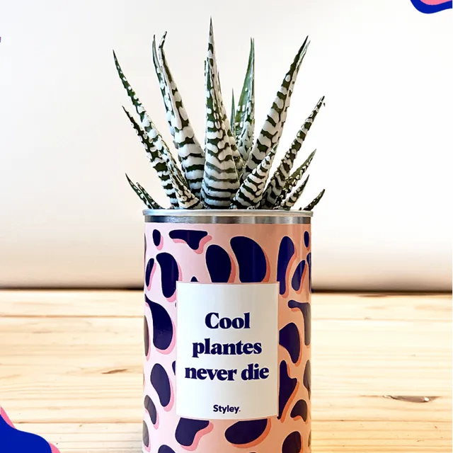 Cool Plantes Never Die