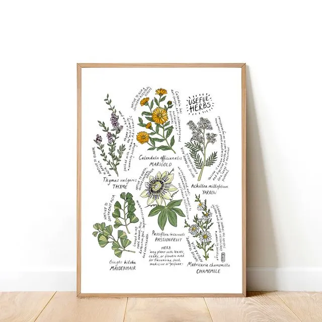 Useful Herbs Art Print (A4)