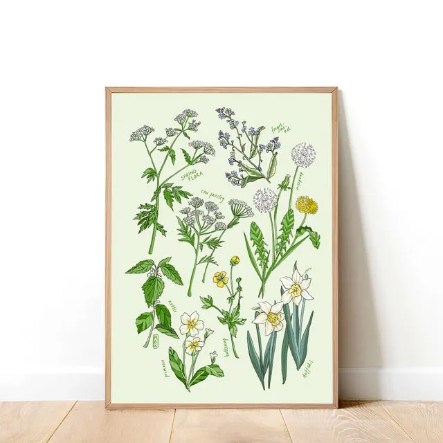 Spring Flowers Art Print (A4)