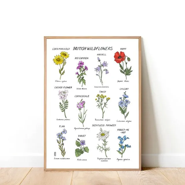 British Wildflowers Art Print (A4)