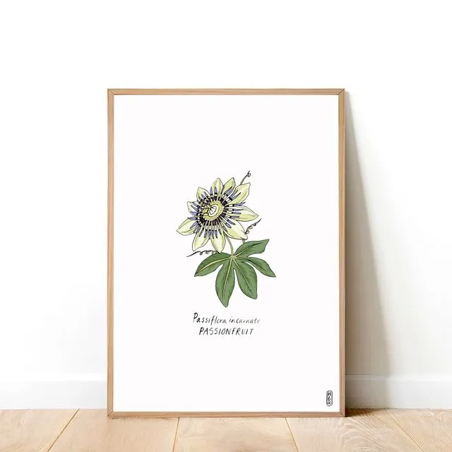 Passionflower Art Print (A4)