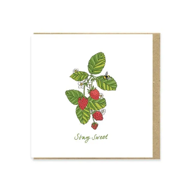 Stay Sweet Strawberry Greeting Card (130mmx130mm)