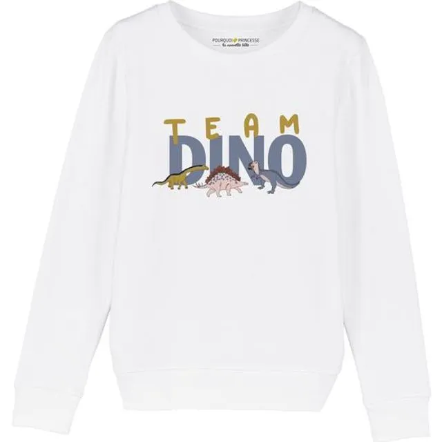 Team Dino Sweatshirt
