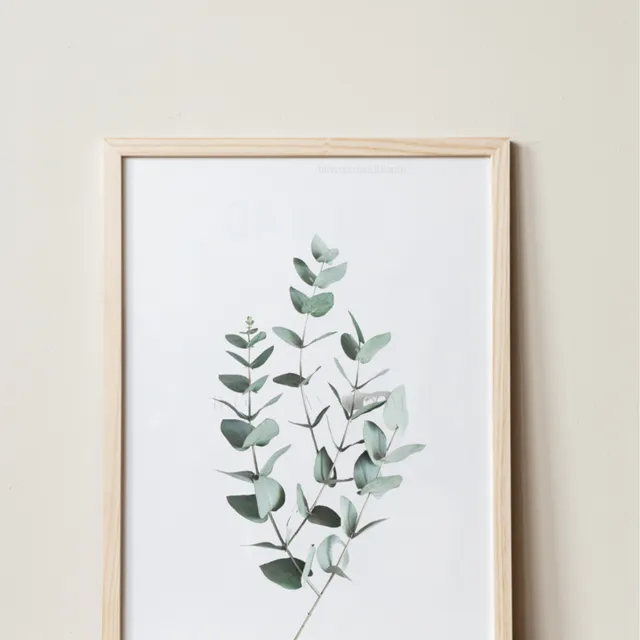 Eucalyptus Print