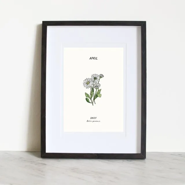 April - Daisy Birth flower Print (A5)