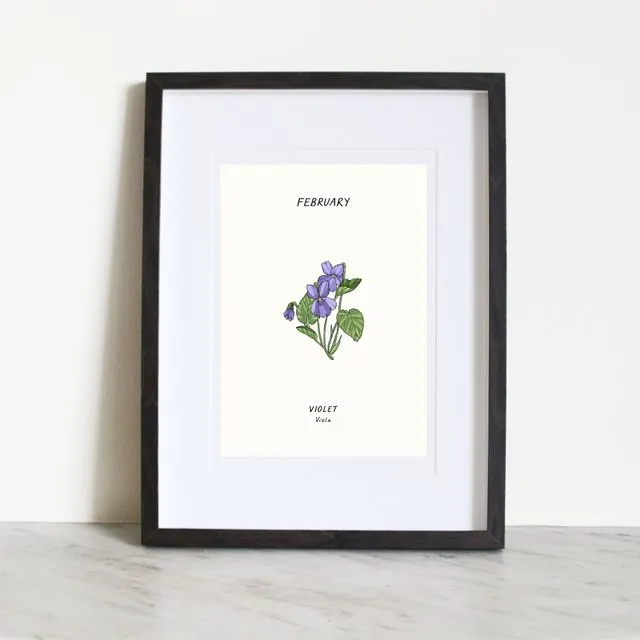 Violet - February Birth flower Print (A5)