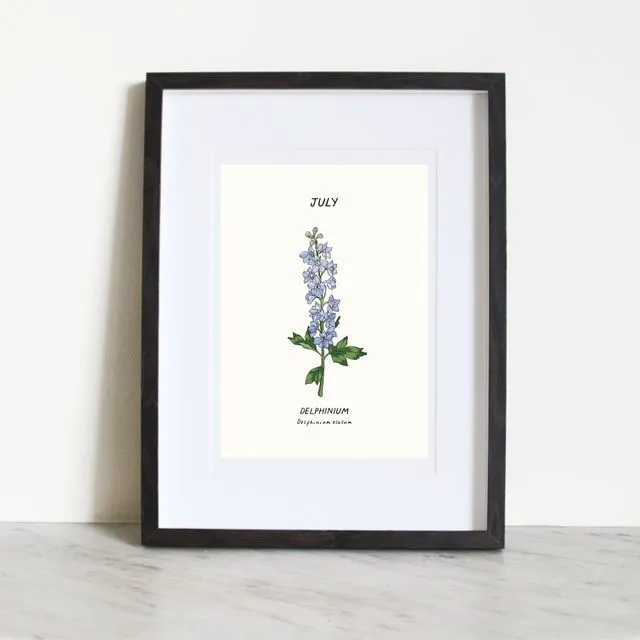 July - Delphinium Birth flower Print (A5)