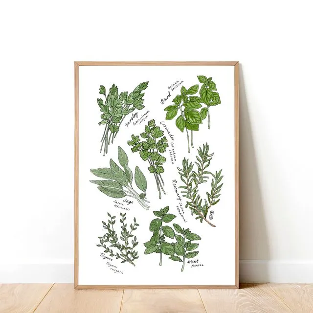 Kitchen Herbs Art Print (A4)