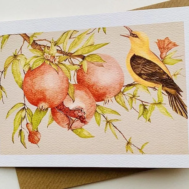 Golden Oriole In A Pomegranate Tree