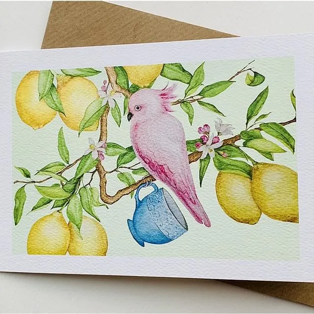 Cocka-Tea In A Lemon Tree