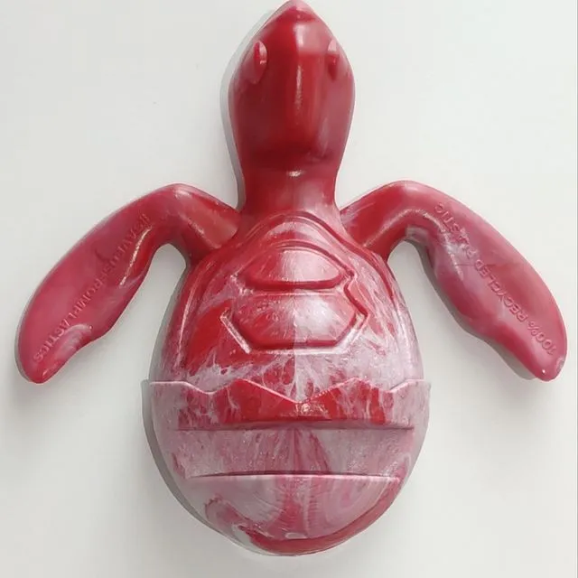 MULTICOLOR Baby Sea Turtle holder (Pack of 5)