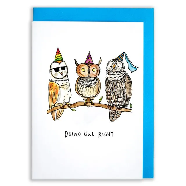 Doing Owl Right - Pack of 6