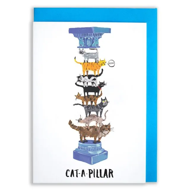 Cat A Pillar - Pack of 6