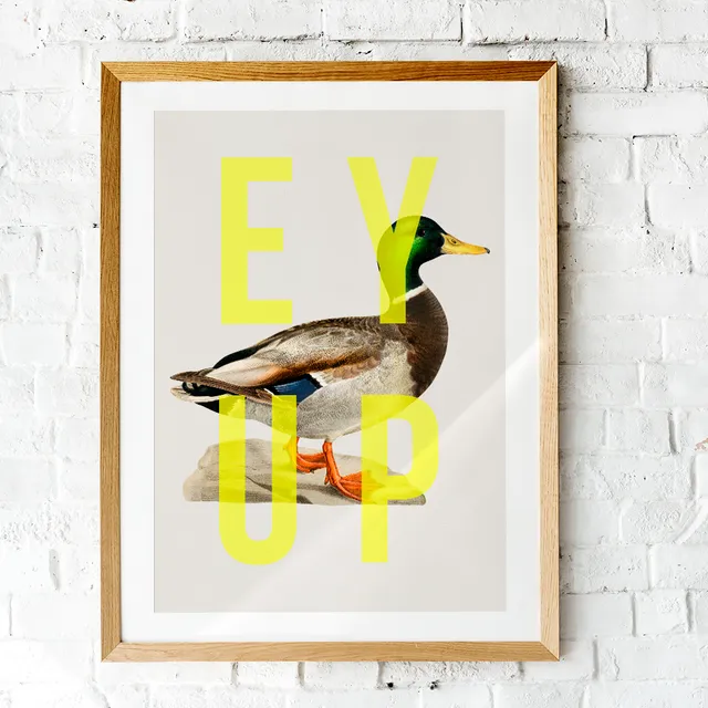 Ey Up Duck