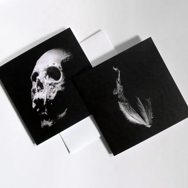 Pack of 2 skull/ bat cards gothic hallowe'en cards