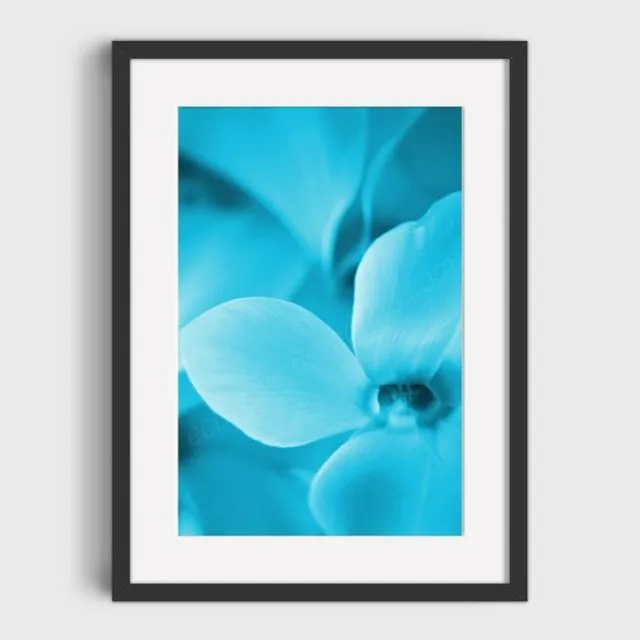 Turquoise Cyclamen 2 Mounted & Signed Print (30x40cm finished size - no frame) - Pack of 6