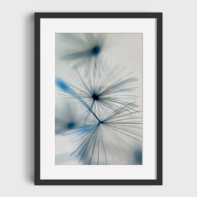 Dandy 4 Mounted & Signed Print (30x40cm finished size - no frame) - Pack of 6