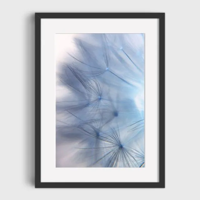 Dandy 3 Mounted & Signed Print (30x40cm finished size - no frame) - Pack of 6