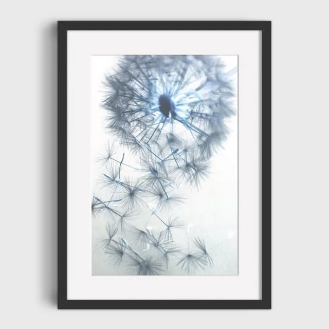 Dandy 2 Mounted & Signed Print (30x40cm finished size - no frame) - Pack of 6