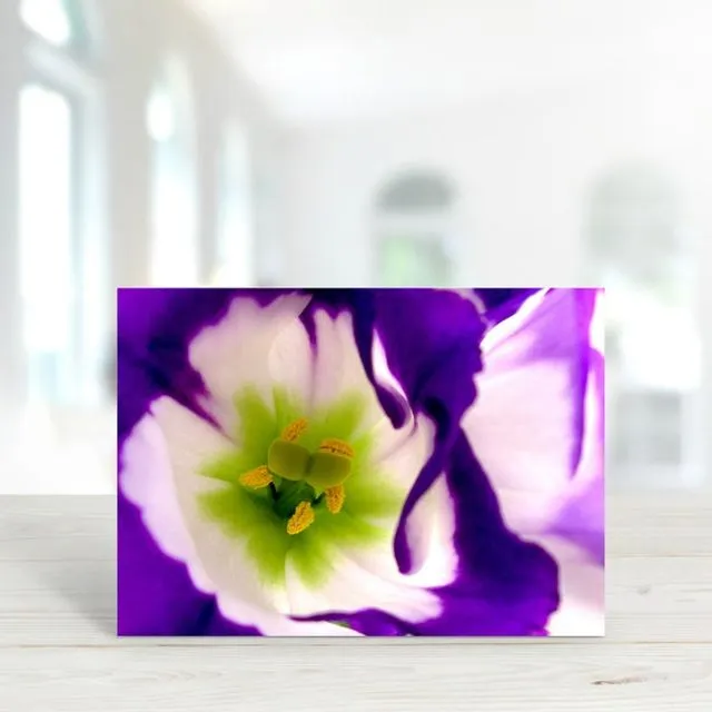 Purple Lisianthus - A6 Greeting Card - Pack of 6