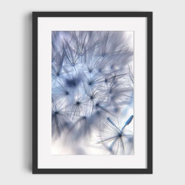 Dandy 1 Mounted & Signed Print (30x40cm finished size - no frame) - Pack of 6