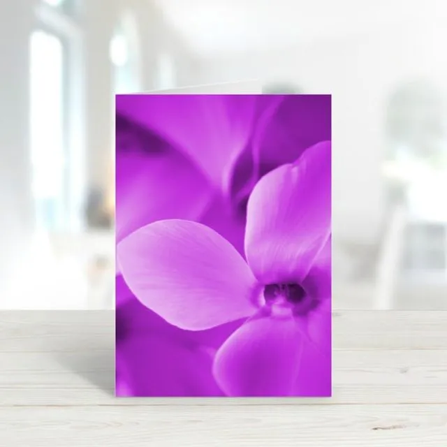 Purple Cyclamen - A6 Greeting Card - Pack of 6