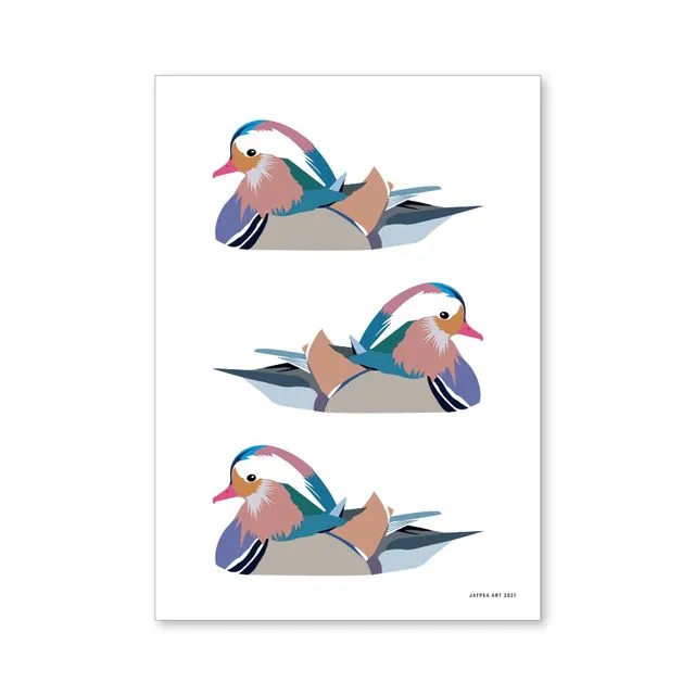 Mandarin Ducks Print