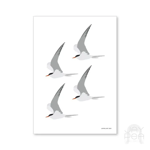 Terns Print