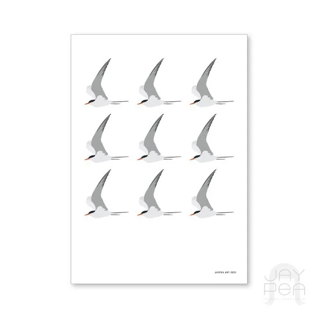 Terns Repeat Print
