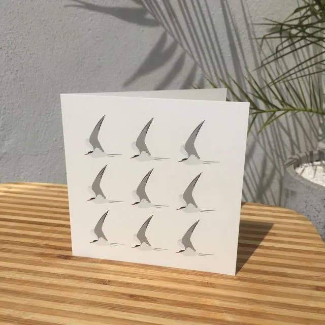 Terns Card
